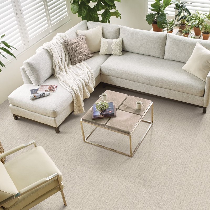 white couch on carpet - Carpet Clearance Warehouse in Keene